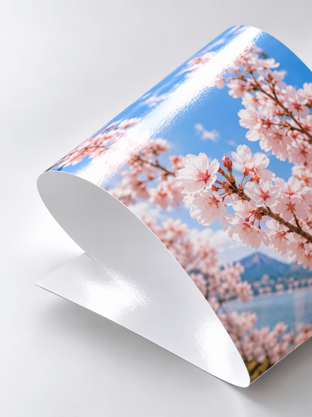 Both-side Coated Paper (PRO-MAX)