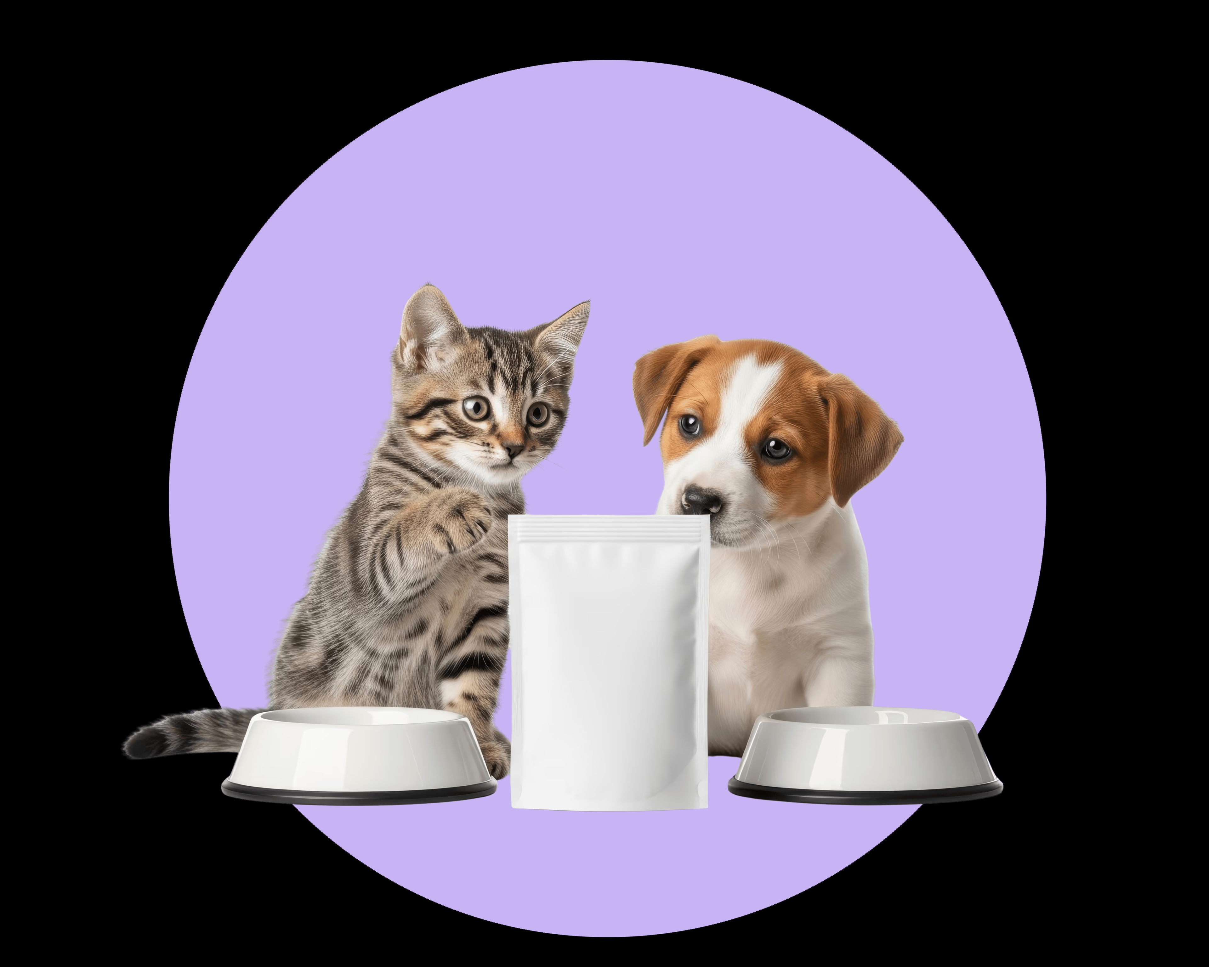 pet-care-pet-products foregroundImageDesktop th