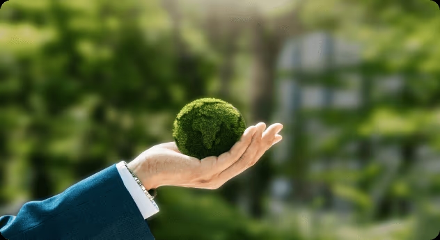 creating-value-sustainably content block