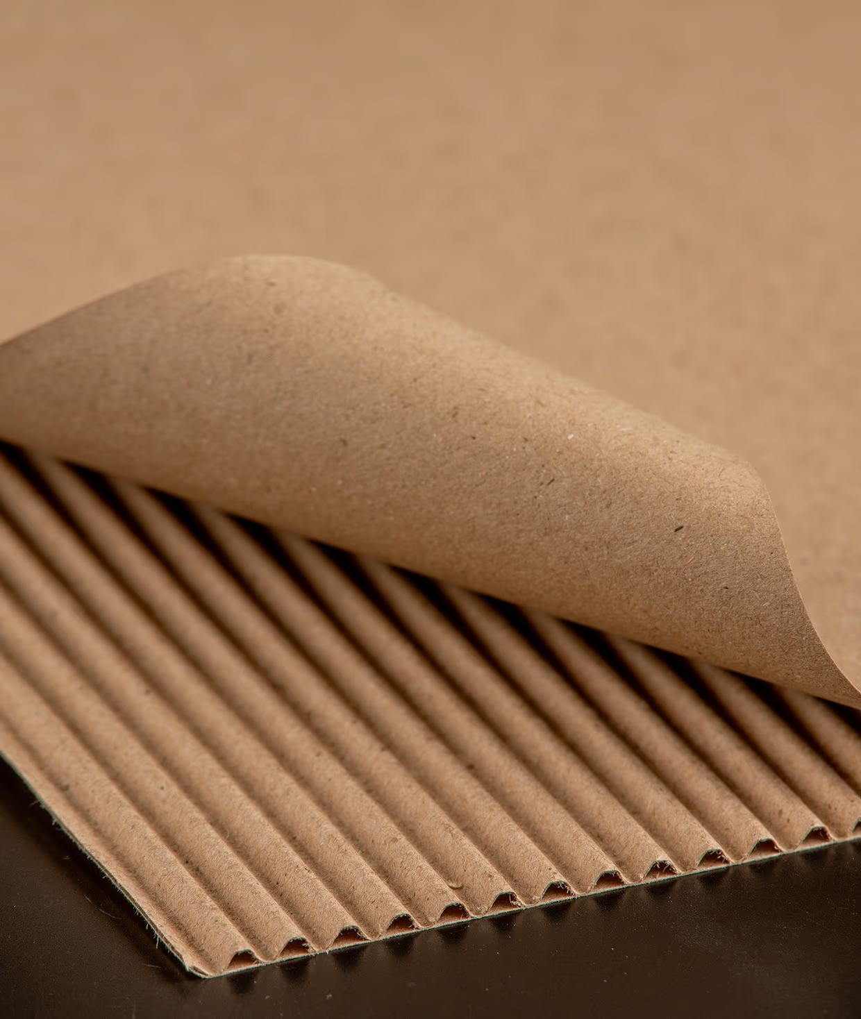Packaging Paper
